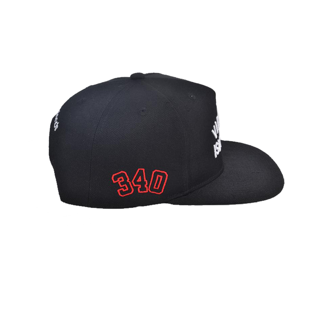Virgin Islands Palm Snapback - Black